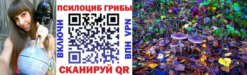 blacksprut ТОР  Изобильный  Псилоцибиновые грибы MAGIC MUSHROOMS 